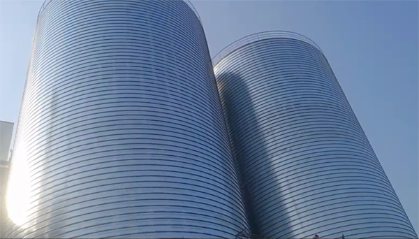 东港2座混凝土高架卷板仓